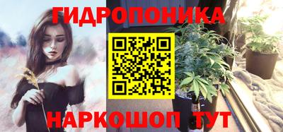 марихуана Кингисепп