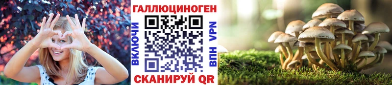купить наркотики цена  Ногинск  Галлюциногенные грибы Psilocybine cubensis 