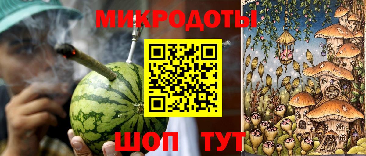 Галлюциногенные грибы Psilocybe Ногинск